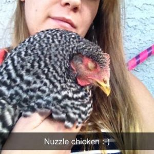 Snuggle Chicken. She would jump in my lap and fall asleep in my arms.