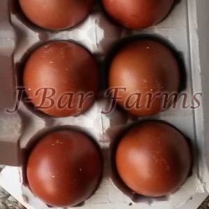 Our BCM eggs on 11/22/14 with the Marans color chart #7 egg showing.  Two months later, still laying 7s.
