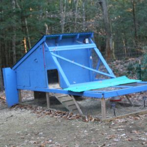 The layer coop.  I was originally going to be a tractor but weighs too much to move.The coop part is 4' x 8' and meant for 8 birds.  The run, which is kept covered in winter, is 4' x 16'.  There's also an attached pasture that's about 400 square feet, if we ever shut the gate and kept them in it.