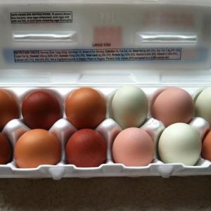 Chocolate and caramel (BCM and GB) and pink and green (BO and EE)