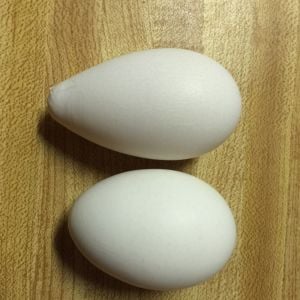 A very pointed egg from one of our hamburgs.