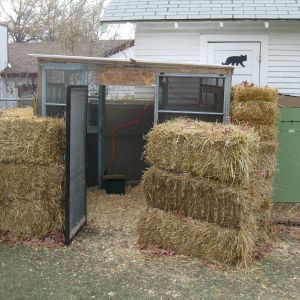 Winter configuration.  We're using hay bales to block cold winter winds.  Also keeps the snow from blowing into the pen as much.