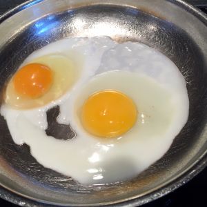 The egg on the right is the store bought. It was watery pale and little taste. It was so watery that it spread out in most of the pan.
The freshly laid egg held tightly together during cooking, and had a very bright orange/yellow yolk.

The fresh egg was the taste winner, hands down.
