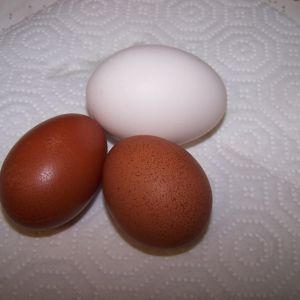 The pullet Marans eggs...about a 5 and 4 respectively on the Marans scale