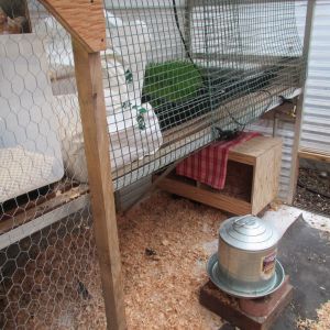 The greenhouse bench acts as storage space and a place to grow fodder.