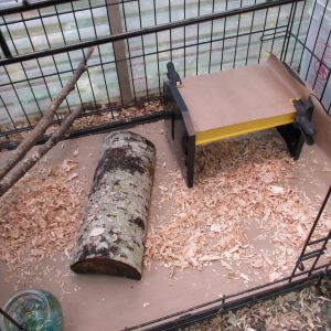 my step up brooder ... 2 to 10 weeks