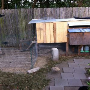 Modified coop and added 12'x 7' run for my girls (2013)