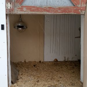 Broody area......needs cleaning