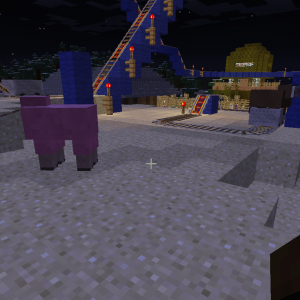 Baby Sheep Rollercoaster and Tied Sheep