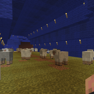 Inside of Sheepie Tunnel Part 3