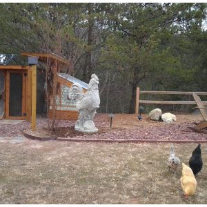 The girls needed a rooster! I will paint him in the spring.