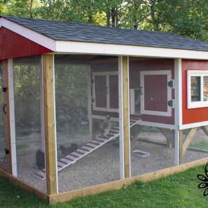4 X 8 hutch style coop w with a 12 x 8 covered run enclosed in hardware cloth.