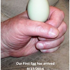 Our First Egg!