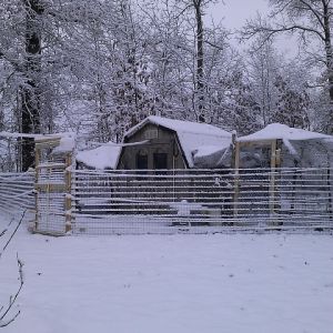 Snowed Inn angle