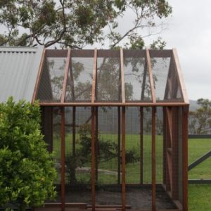 This is a photo from Michael Cooke's website. Coop run addition inspiration!