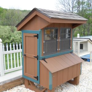 3 x 4 Chicken Coop