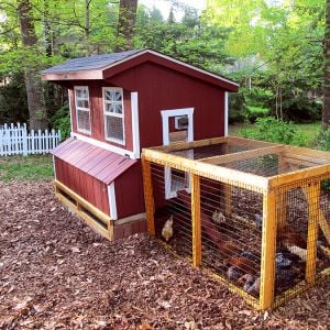 5 x 6 Chicken Coop with Painted LP SmartSide (Barn Red w/ White Trim), shown with chicken run and hinged "under coop" panels