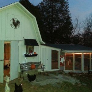 Fall time and the girls like their all done. They don't mind spending the dreary days inside and dry. The light inside the run is to help keep predators at bay and help me see. The first few days a couple of the girls were a little confused but soon after all go in when it's dark out.