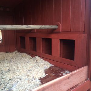 View of nesting boxes from inside the house