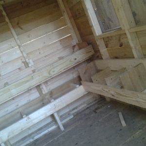 the inside of the spring hen house. Our winter one is very similar but with one inch boards all inside to close it up more for harsh winter nights! <3 stays around 37-45 inside with all the wood chips, straw, hay and chickens of course!