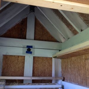 Inside of coop.  Two roosts with poop catchers underneath
