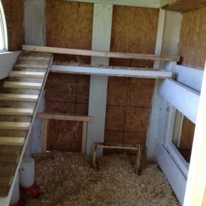 Ramp to the roosts.