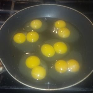 6 eggs in this house = 11 yolks