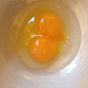 This is Red (one of our Red Stars) first egg. Bright Orange Double Yolk!