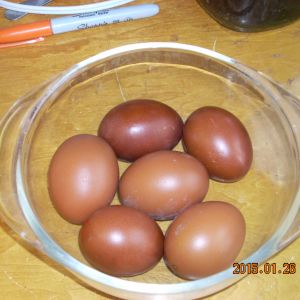 This is an example of this spring's eggs.  Taken from my Columbian Marans.  Taken in natural light, but the flash still went off and washed them out a bit.  
  I'm currently hatching eggs for myself.  Generation 8.  Will have chicks on the ground by Feb1st 2015.