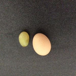 The first egg next to a grape. Lol.