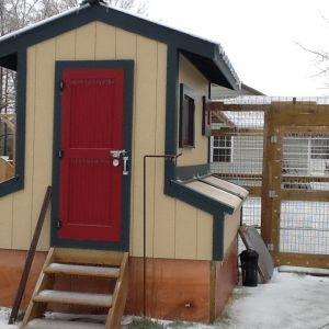 February 2015 Ice on the main coop