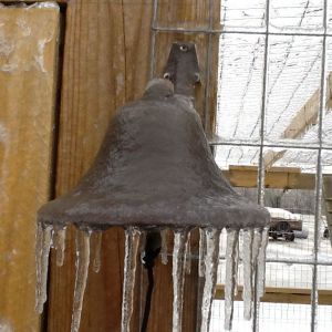 February 2015.  The chicken bell.