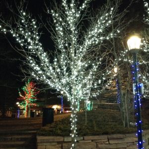 Christmas lights