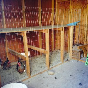 Inside (before).  All we did was take out a shelf, tack up some welded wire, put down some PDZ and make a nesting box out of a cardboard box.  A vent was already missing, and the girls are squishing in and out through there.