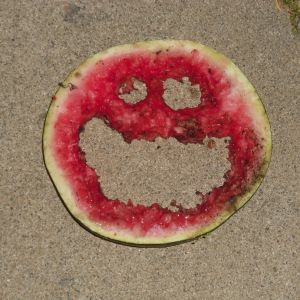 I gave my chickens a slice of watermelon & this is what they left me.
