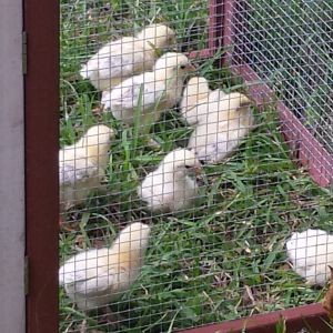 Babies first day out.  5 months ago.