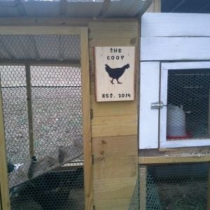 This awesome sign made by my mom really make my coop something special!