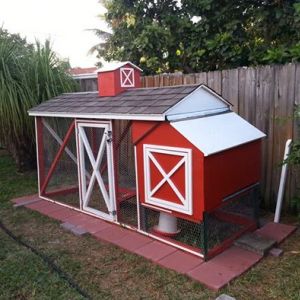 Our girls' coop we built from a salvaged rabbit hut.  It's called  "The Cluckin' Mansion!".