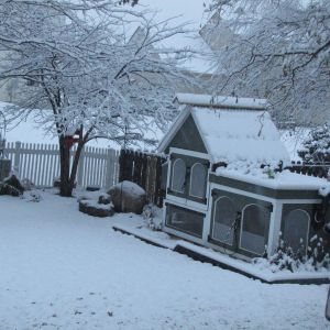 First Winter / First Snow Fall 2014