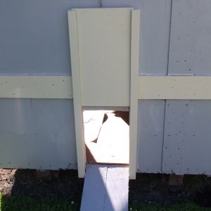 Pop Door
