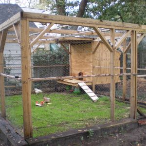 Trying to flatten out a board on their lanai, it will stop the rain from getting their food wet underneath.