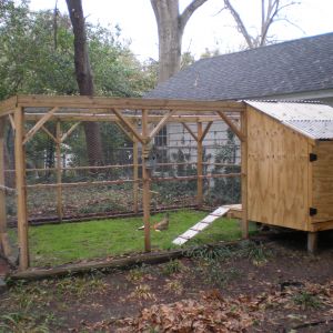 It is a really nice large run area and nice coop with 5 roosting boxes. The floor isn't solid to help with ventilation and easy clean-up. There is a hinged area in the front we drop down when it get's hot