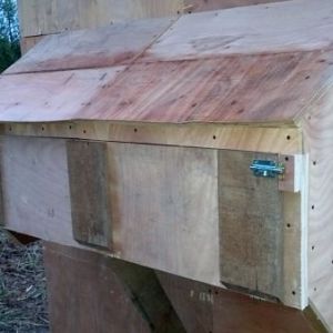 Nesting box access
