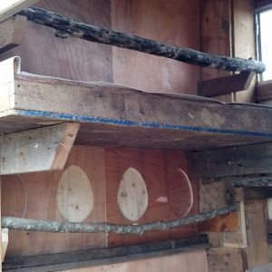 roost and nesting boxes