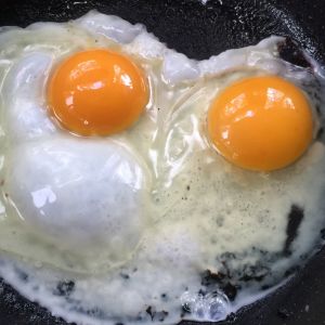 Our egg on the left and the most expensive eggs at WF, comparison.