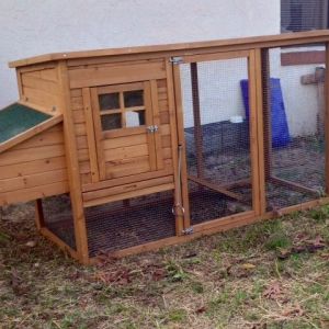 New chicken coop- built from a kit we bought on-line.  Very easy to assemble.  We did add 2 locks however; one on the front screen door and one on the coop door.  There was already one on the nest box.