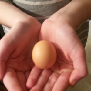 12/16/14 first egg!