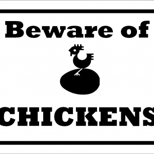 Beware of chickens