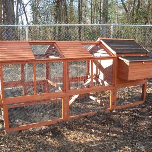 When I was a little girl, I had some relatives who had chickens.  I love to feed them, find the eggs, and play with them.  I always wanted a few chickens of my own and at age 67, I now had a chicken coop given to me by my husband for my Christmas present.  I could hardly wait until March to get my chicks.