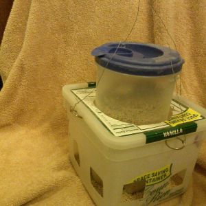 DIY No Waste Chick Feeder made from ice cream bucket, plastic pitcher, four key rings, and wire. Cut handle off pitcher. Cut circle in lid of ice cream bucket to fit pitcher.